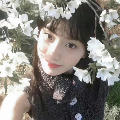 理科生坠入情网故尝试证明第二季